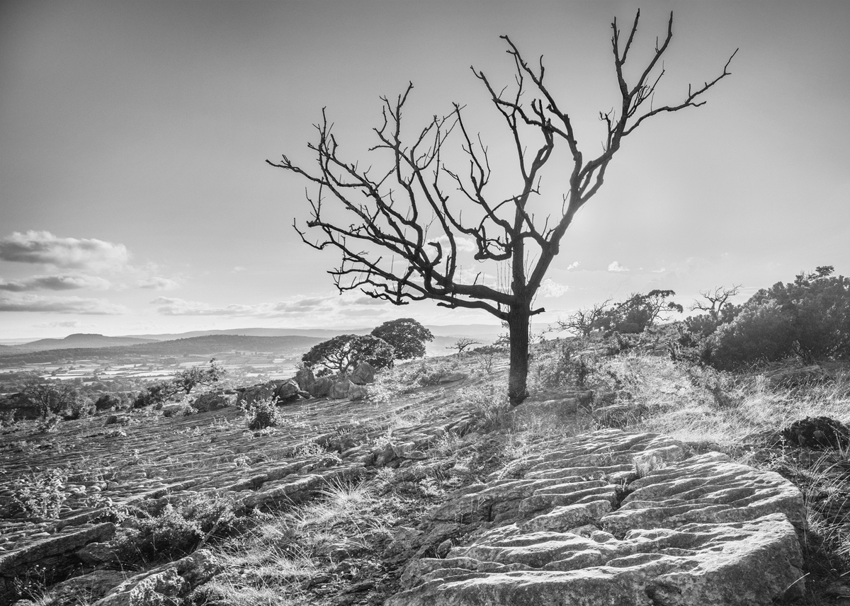 On Holme Park Fell - Graham Dean